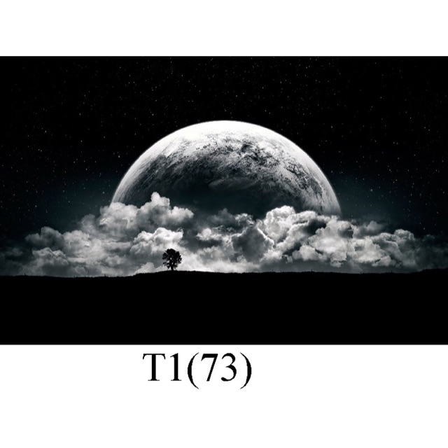 Tranh 3D hồ cá