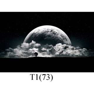 Tranh 3D hồ cá