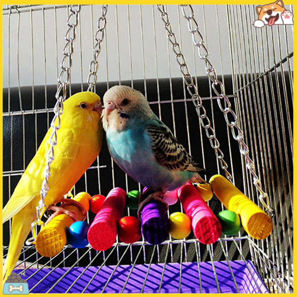 Thang gỗ nhiều màu sắc treo trong lồng cho vẹt