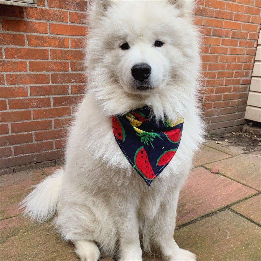 Khăn Choàng Cổ Hình Tam Giác Có Thể Điều Chỉnh Dành Cho Thú Cưng