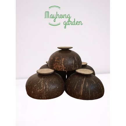 Chén gáo dừa có đế, đường kính 11-13cm