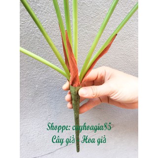 Cây giả _ Cây lá Rùa Cao Cấp