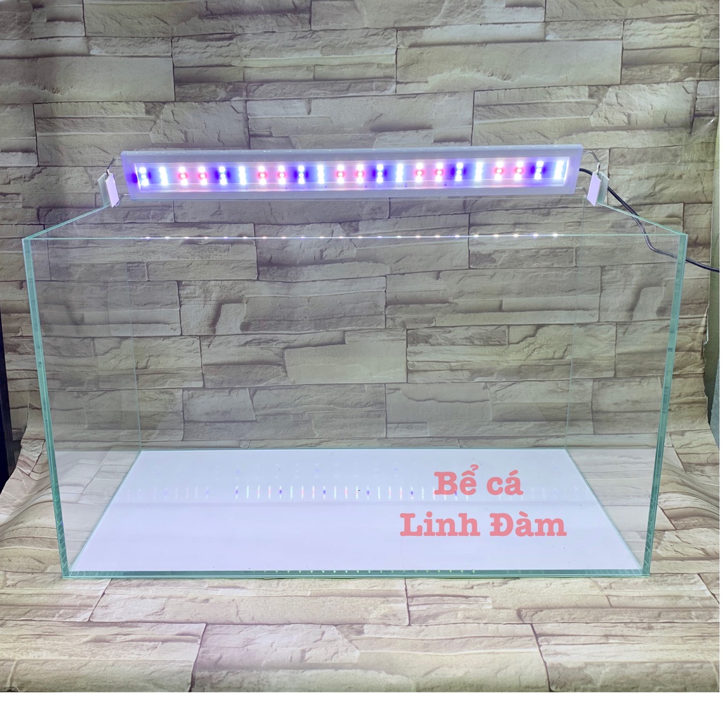 Bể cá kính siêu trong dài 60cm mài full vi tính, dán giấu keo đẹp - Bể cá cảnh thủy sinh để bàn
