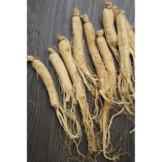 Nhân sâm khô ( trường bạch sơn ) 100g