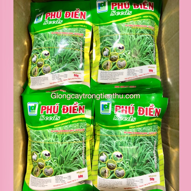 HẠT GIỐNG CỎ CHĂN NUÔI LÂU NĂM MOMBASA GHINE 50gr