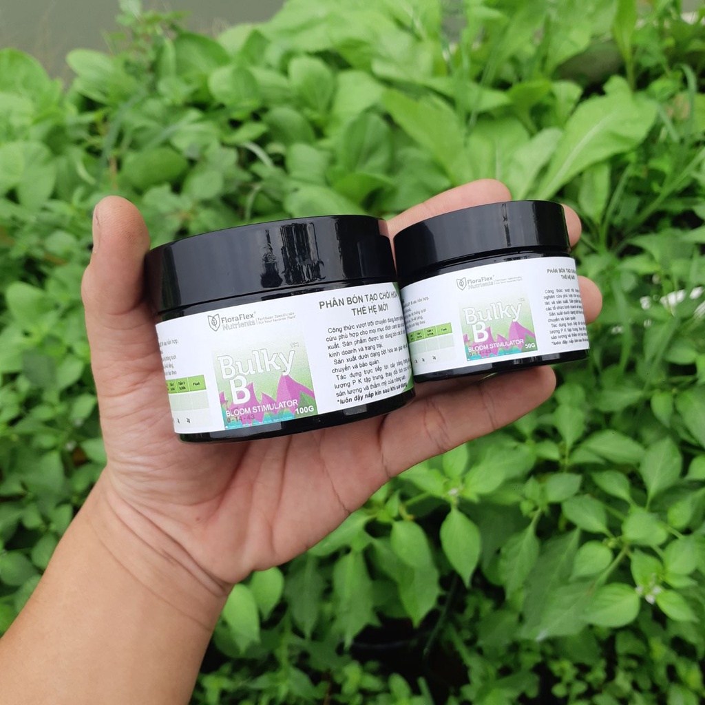Kích nở chồi hoa Bulky B - Flora Flex kích búp kích nhựa kích hoa to