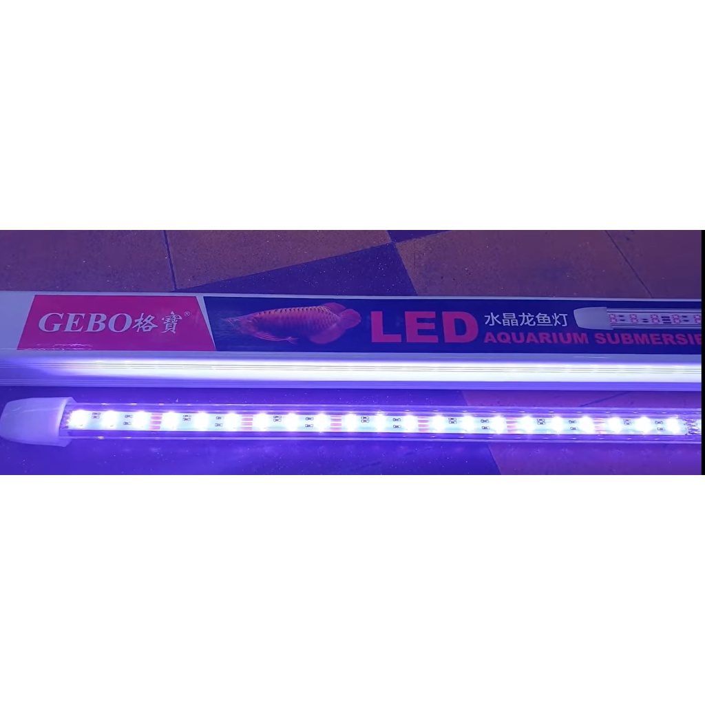 Đèn Led Thủy Tinh 2 Hàng Bóng Rrgb (4 Chế Độ) - Tanning Cho Bể Cá Siêu Đẹp