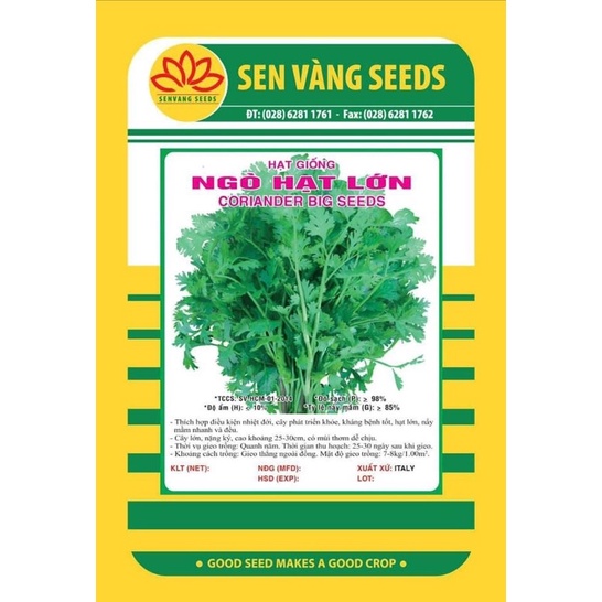 Hạt Giống Ngò Hạt Lớn (20gr)