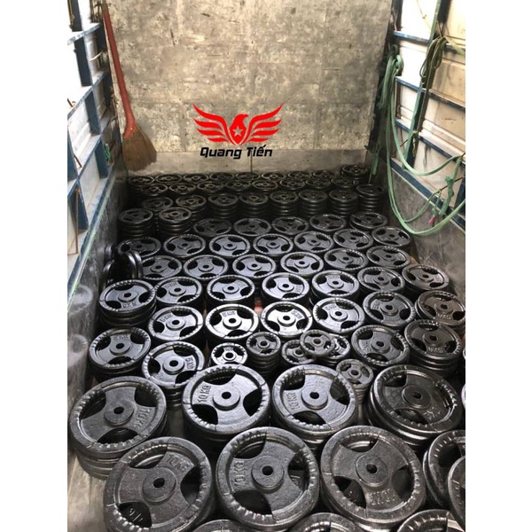 Tạ bánh gang 20kg, tạ đĩa gang 20kg phi 30 lỗ nhỏ QT08
