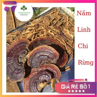 [Ảnh Tự Chụp] 1 kg nấm linh chi rừng thái lát