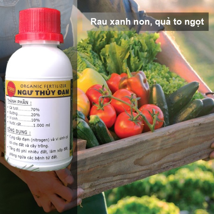 500ml Đạm cá, phân bón kích thích ra rễ, đọt, xanh lá, nhiều hoa, hồng, lan, rau, trái, củ