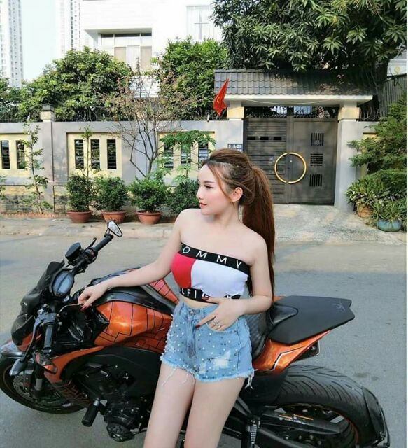 Áo ống cotton 4 chiều | BigBuy360 - bigbuy360.vn