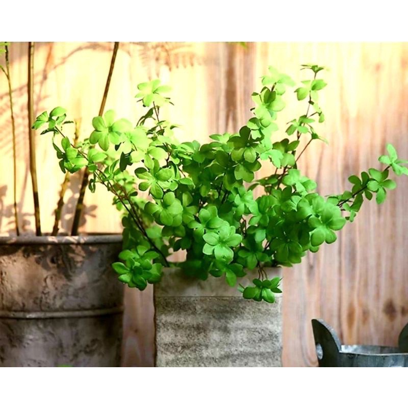 Cành thạch nam cao cấp,trang trí decor nhà cửa,nội thất