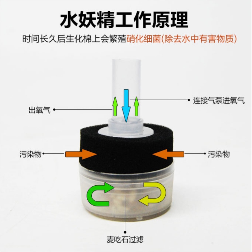 Lọc Vi Sinh Mini