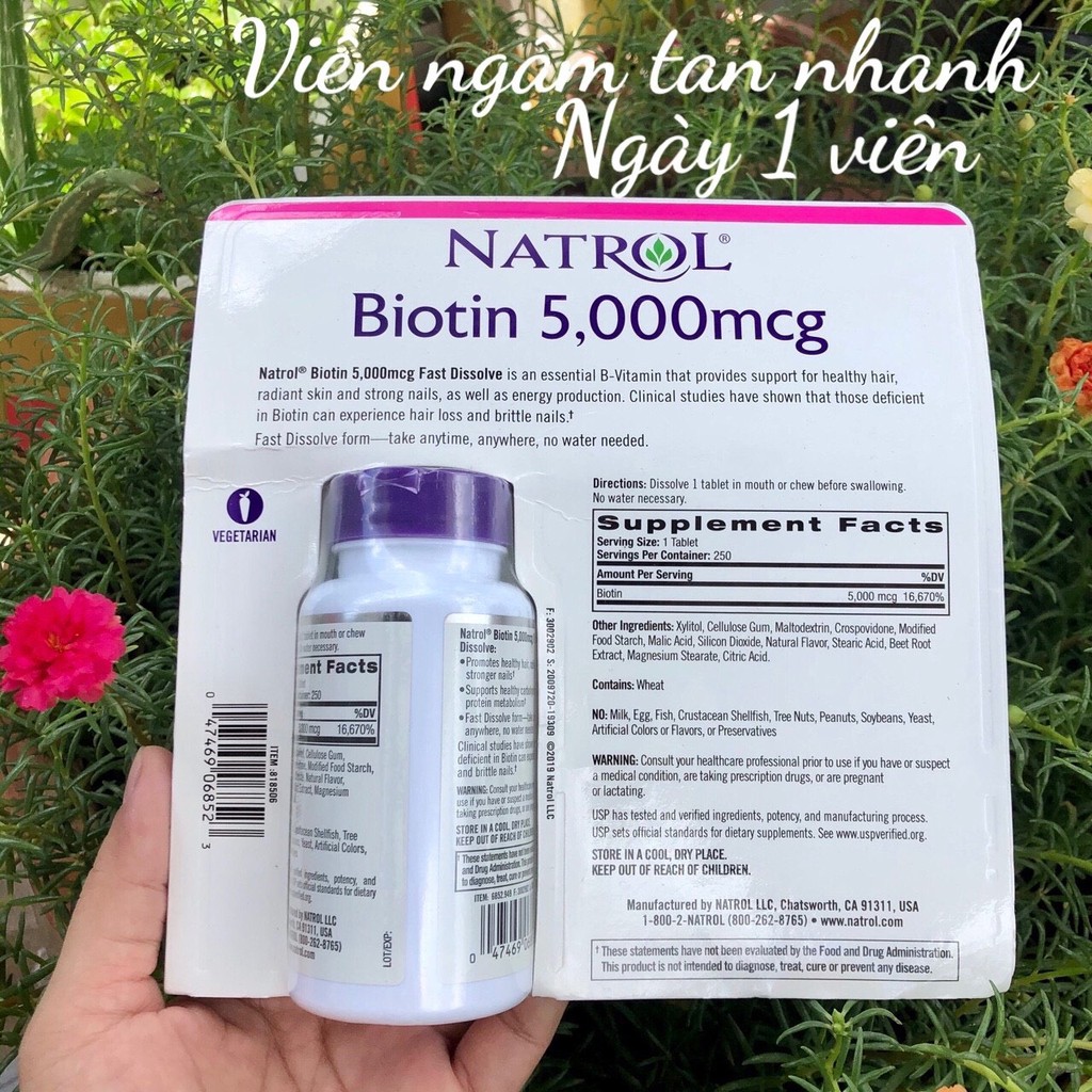 ❤️ [Date 12/2022] Natrol Biotin Hair Nails Skin 5000 mcg 250 viên Mỹ, Hương Dâu | BigBuy360 - bigbuy360.vn
