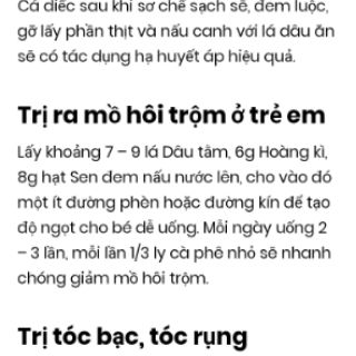 Cây dâu tằm bầu đất( đang trái)