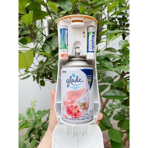 Máy Xịt Thơm phòng tự động Glade Hương Anh đào &amp; Lily 269ml/175g