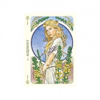 Tarotscopes Bộ bài Oracle Flower oracle cards