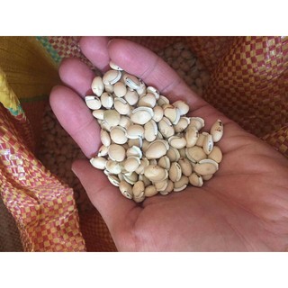 1kg ĐẬU VÁN TRẮNG HẠT ĐỀU ĐƯỢC LỰA SẠCH
