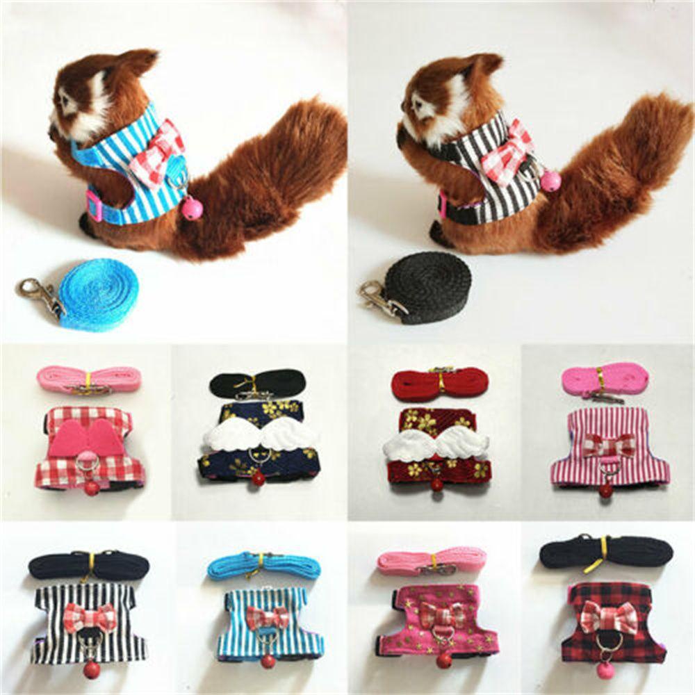 FAY Bộ Dây Dắt Và Dắt Thú Cưng Đi Dạo