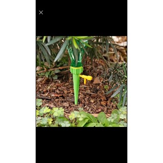 DỤNG CỤ TƯỚI NƯỚC CHO CÂY