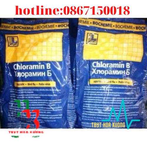 CLORAMIN B Cộng Hòa Séc Túi 1 Kg Hàng Chính Hiệu