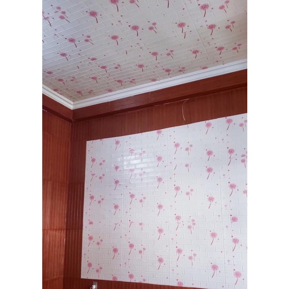 Miếng xốp hoạt hình hello kitty- hoa bồ công anh cao cấp kích thước 70x77cm