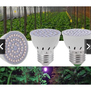 1 Bóng Đèn Trồng Cây 60 Led