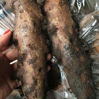Tắc Kè Đá Khô 1kg