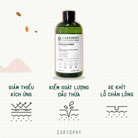 Toner  Mụn Thâm Dành Cho Da Dầu Nhạy Cảm Caryophy- Cách Ngăn Ngừa Mụn Ẩn, Đầu Đen Tại Nhà