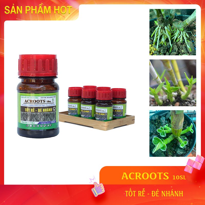 AC ROOTS - Kích Rễ Cho Hoa Phong Lan