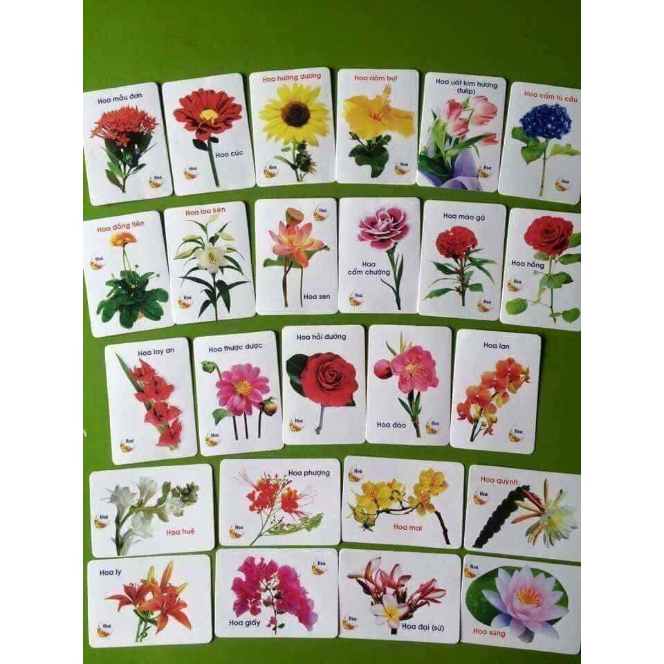 Bộ thẻ học thông minh 16 chủ đề song ngữ cho bé - đồ chơi thông 416 thẻ [ shop Bé TiTi ]