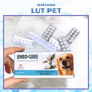 Trị viêm tai ngoài chó mèo thú cảnh ENRO CỦRE- trị nhiễm khuẩn đường tiêu hóa - viêm da - vết thương thứ cấp (1 viên)