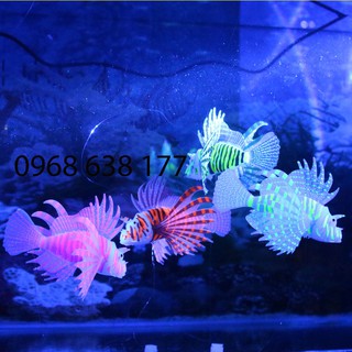 ĐỒ CHƠI HÌNH CÁ SILICON CẦU VỒNG DẠ QUANG - TRANG TRÍ HỒ CÁ – THỦY SINH