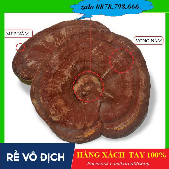 [ XÁCH TAY ]  Nấm linh chi tai đỏ 6 năm tuổi Hàn Quốc, Túi 1kg