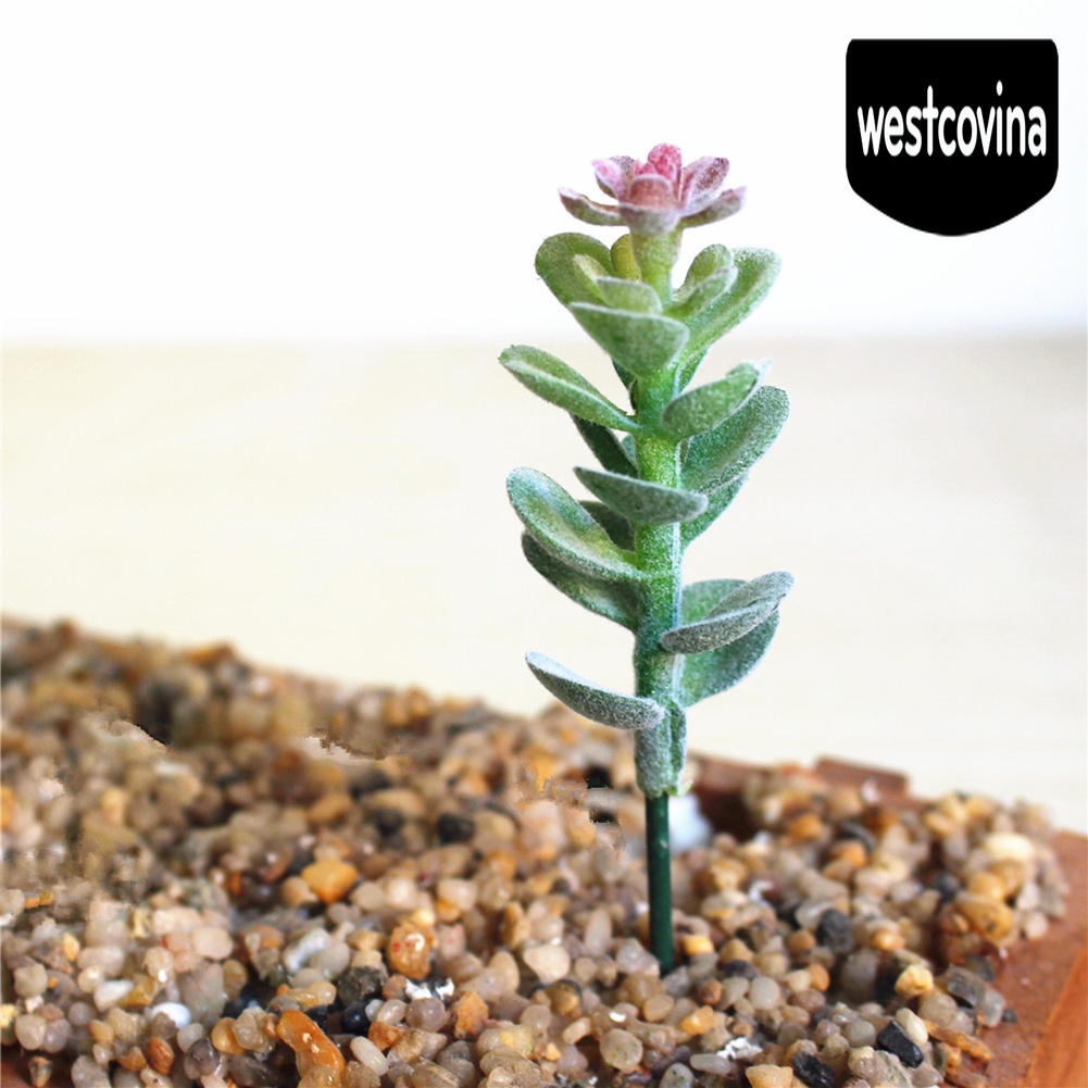 [Hot]☀ Chậu Cây Bonsai Mini Nhân Tạo Để Bàn Trang Trí Tiệc Cưới / Nội Thất Nhà