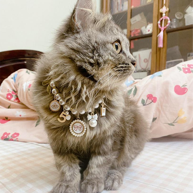 Vòng tay chuỗi hạt ngọc trai giả đính chuông dễ thương cho thú cưng