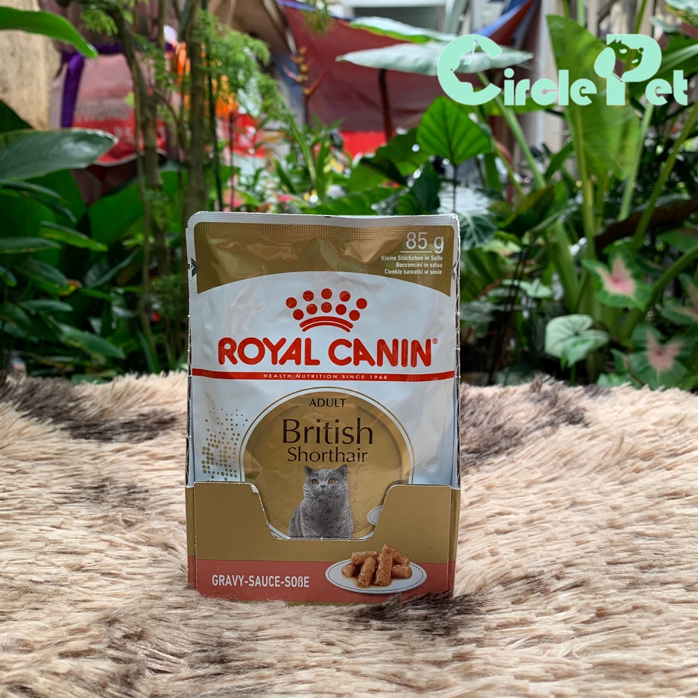 Thức Ăn Ướt Cho Mèo Lông Ngắn Royal Canin Adult British Short Hair Dễ Dàng Tiêu Hóa 85g - Circle Pet