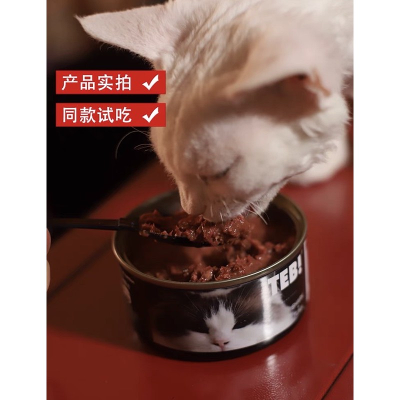 Pate Cho Mèo Teb Bổ Sung Lysine Canxi Vitamin Taurine Thức Ăn Cho Mèo Tăng Cân Surica (170grx8)