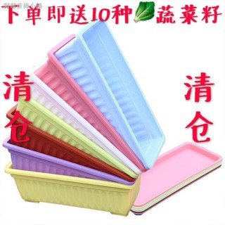 Chậu nhựa trồng cây hình chữ nhật cỡ lớn tiện dụng
