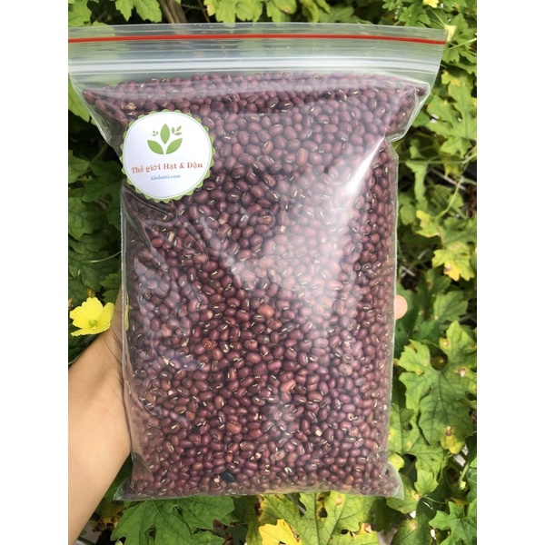 1KG Đậu Đỏ-Đỗ Đỏ-Nấu Sữa Hạt-Nấu Chè