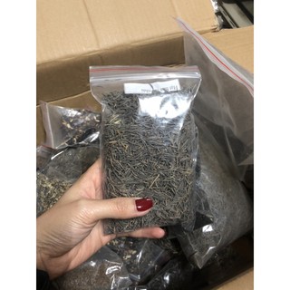 Hạt giống sao nhái mix màu!