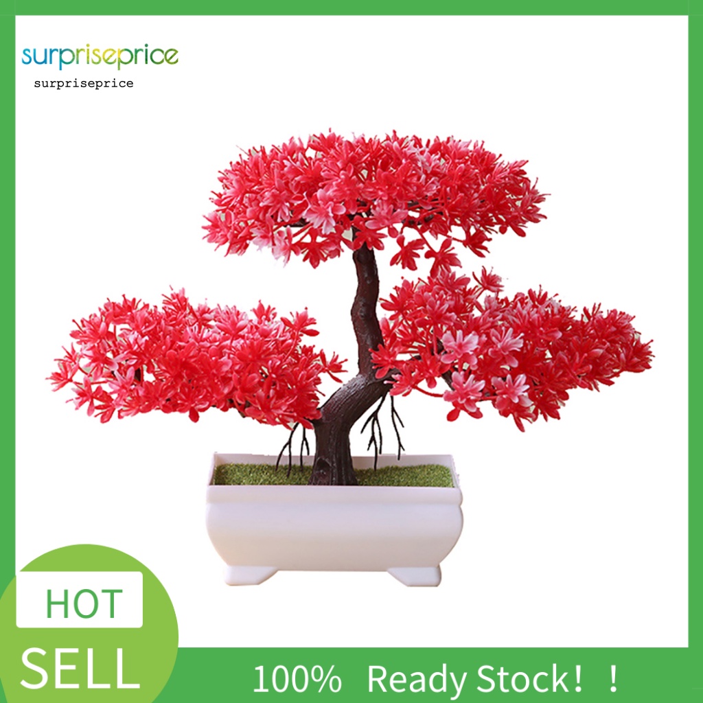 Chậu Cây Bonsai Giả Trang Trí