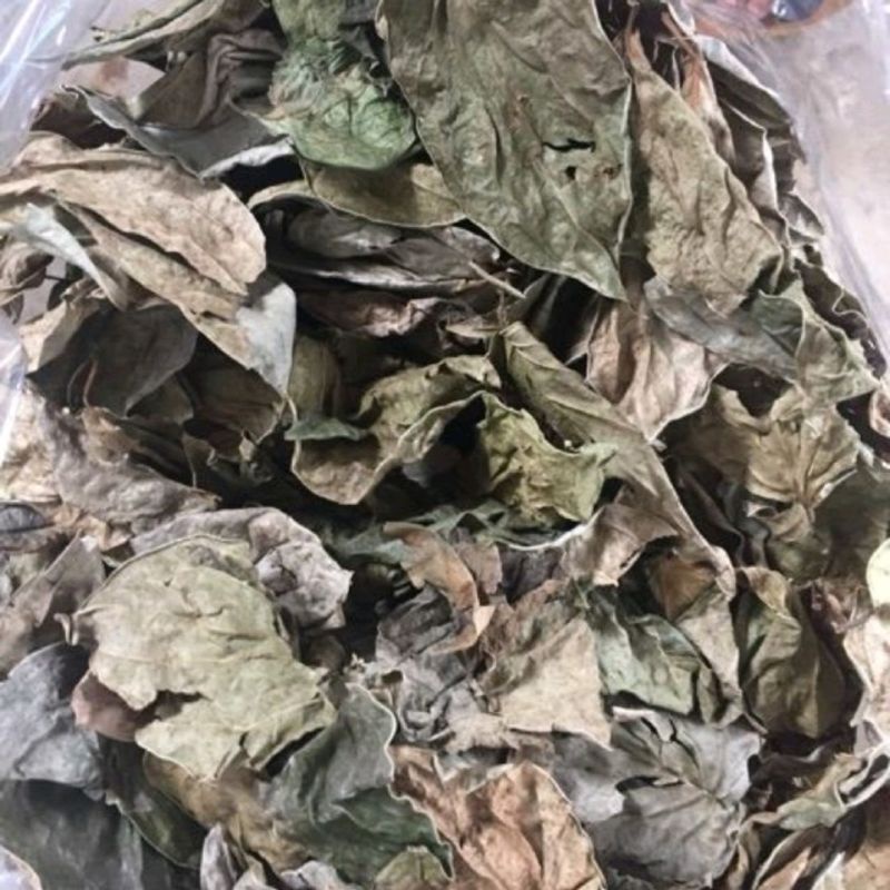 lá trầu không khô 100g