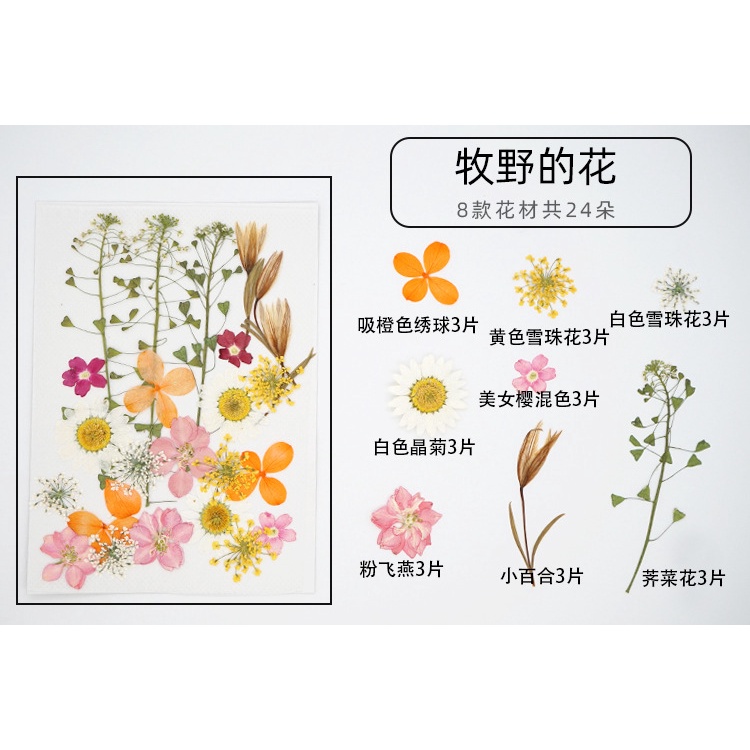 Cánh hoa dùng trang trí mặt sáng tạo dùng trang trí khi chụp ảnh DIY | BigBuy360 - bigbuy360.vn