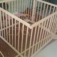 Cũi 3D cho bé 4 cánh nang dẹp