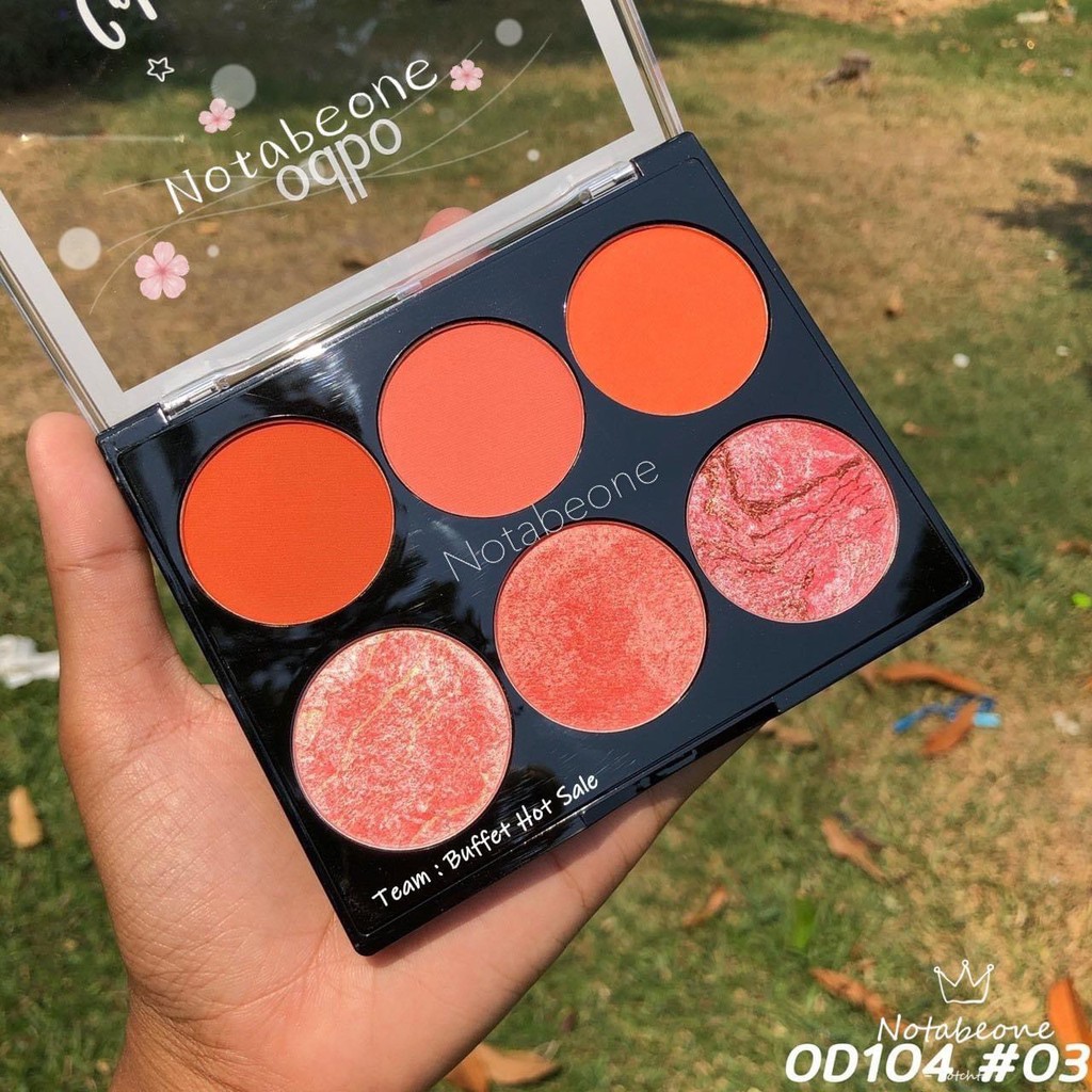 Phấn má 6 ô odbo color harmony blusher