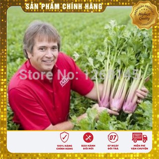 Hạt Giống Cần Tây Đỏ Hà Lan(2gr)