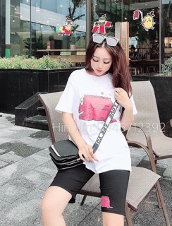 Set cá sấu