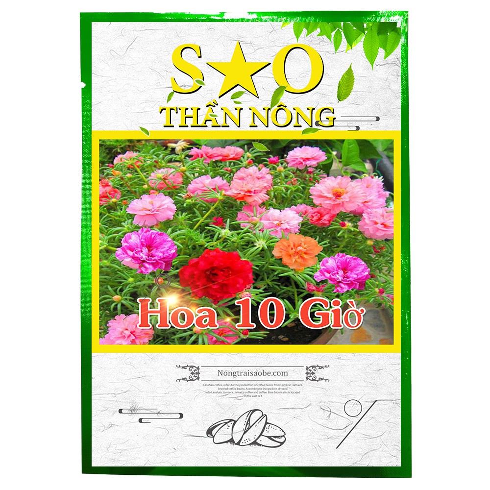 500 Hạt - Hạt giống Hoa mười giờ, hoa 10 giờ thái nhiều loại màu   - Hoa mười giờ Sao Thần Nông